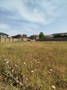 image 377855
