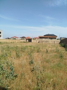 image 377855