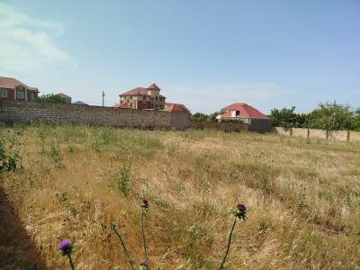 image 377855