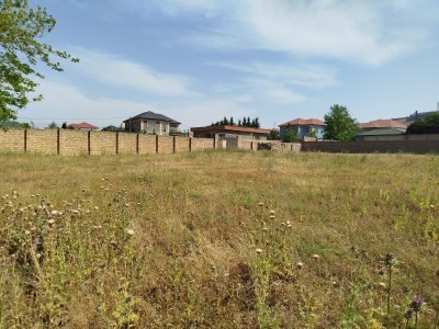 image 377855
