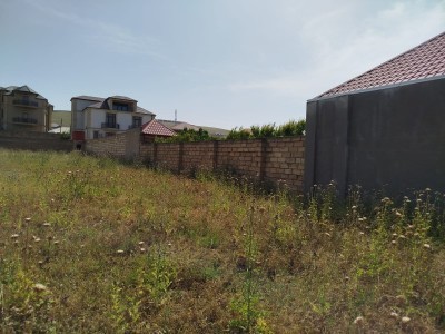 image 377855