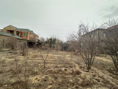 image 377871