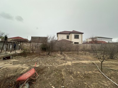 image 377871