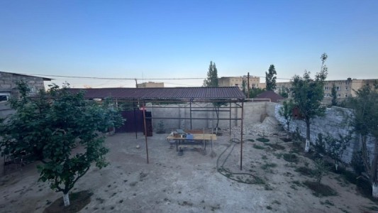image 377910
