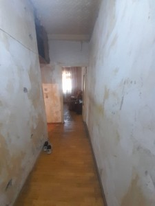 image 377917