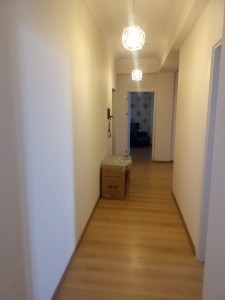 image 377921