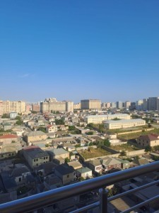 image 377921