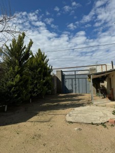 image 377923