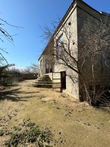 image 377923