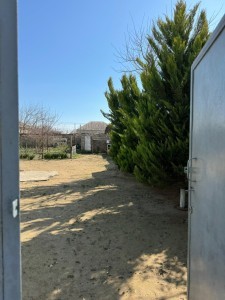 image 377923