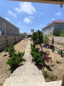 image 377927