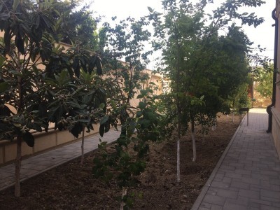image 377932