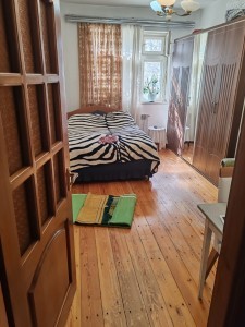 image 377936