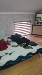 image 377940