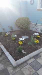 image 377942