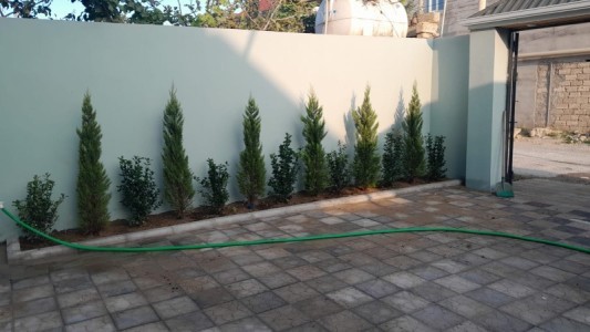 image 377942