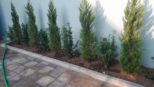 image 377942