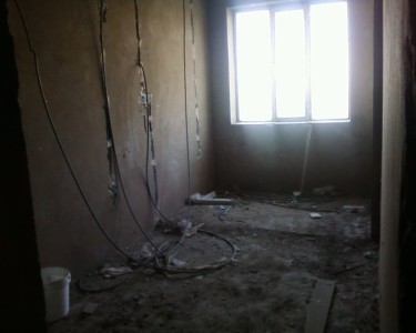 image 377955