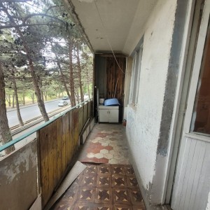 image 377982