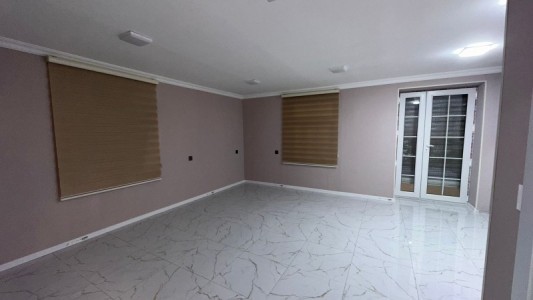 image 377983