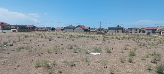 image 377986