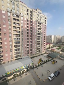 image 377987