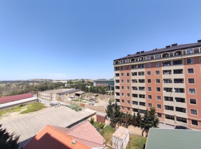 image 377991