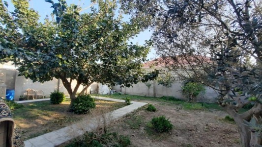 image 377994