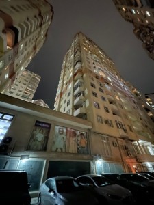 image 378003