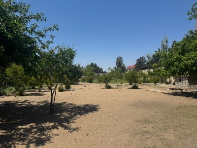 image 378007