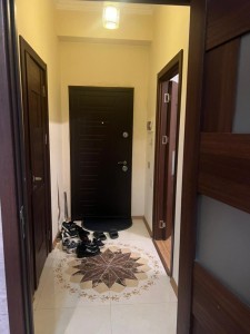 image 378066