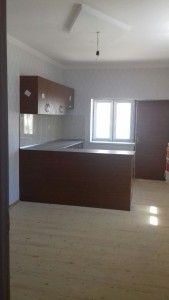 image 378080