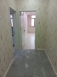 image 378081