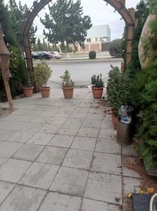 image 378125