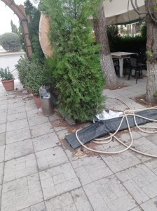 image 378125