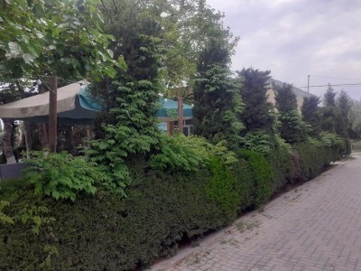 image 378125