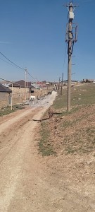 image 378144