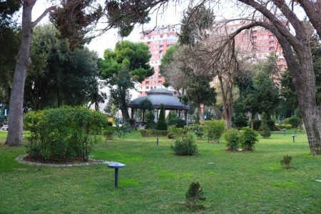 image 378153