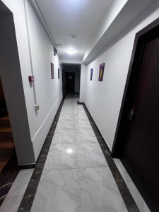 image 378155