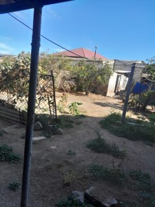 image 378169
