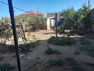 image 378169