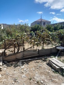 image 378169
