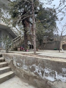 image 378201