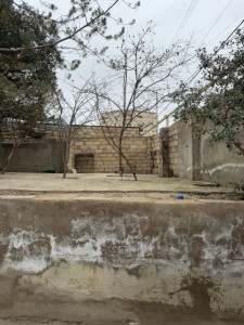 image 378201