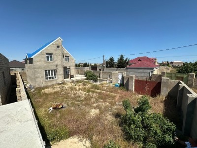 image 378211