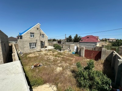 image 378211