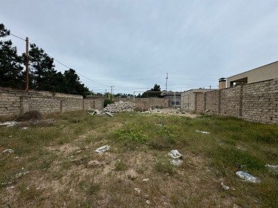 image 378241