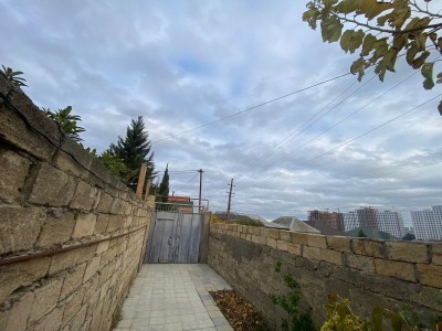 image 378246