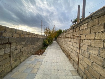 image 378246