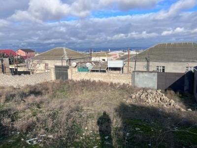 image 378255
